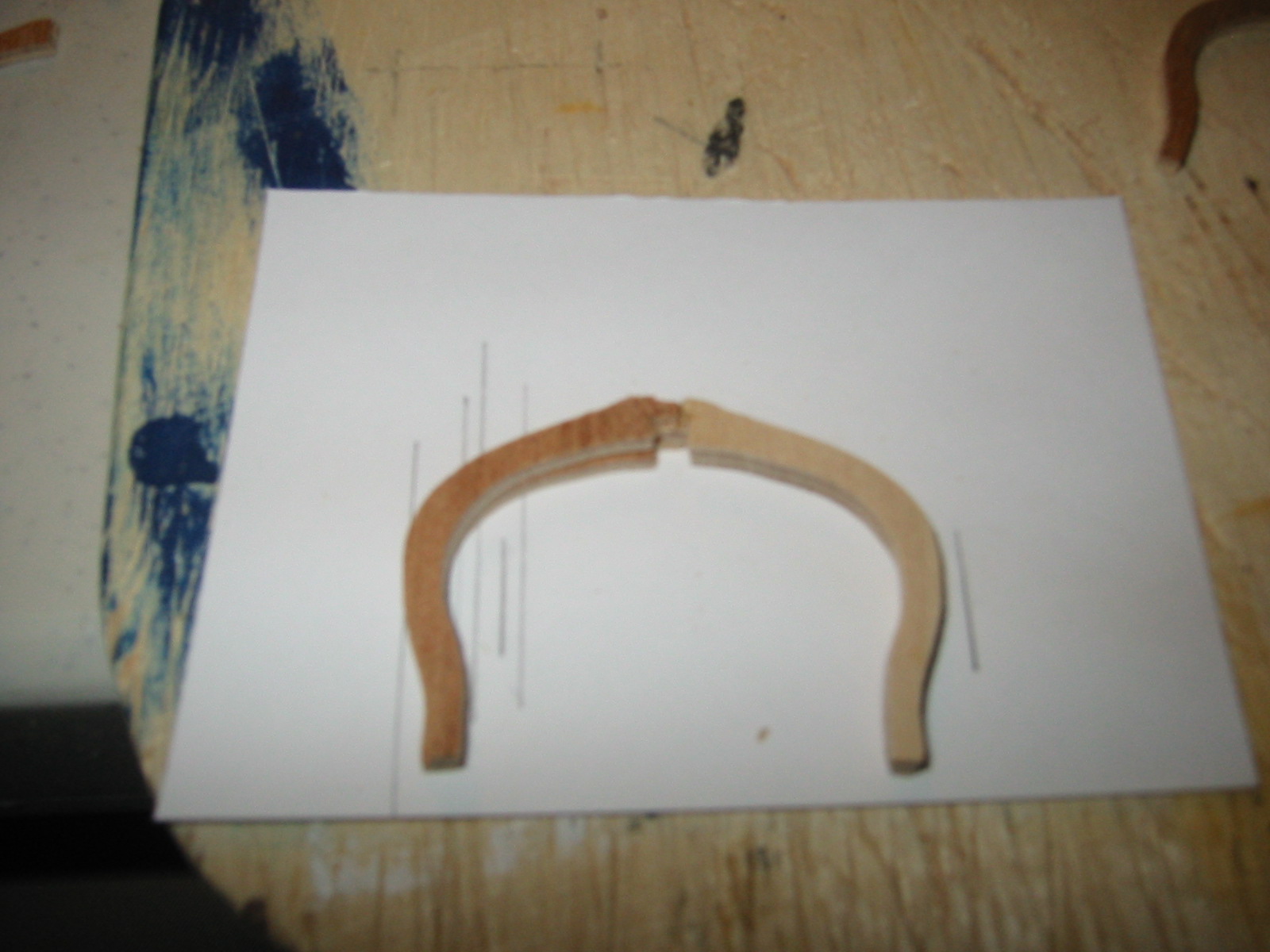 FrigateUnderGlass/RibBuild1.JPG